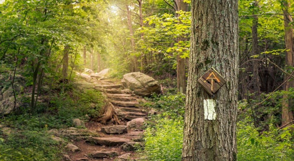 The Ultimate Guide to Hiking the Appalachian Trail