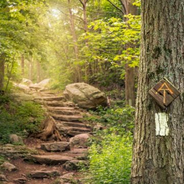 The Ultimate Guide to Hiking the Appalachian Trail